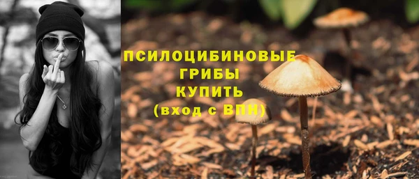 прущие грибы Бугульма