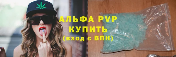 прущие грибы Бугульма