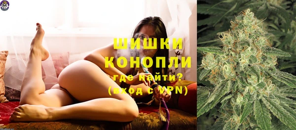 прущие грибы Бугульма