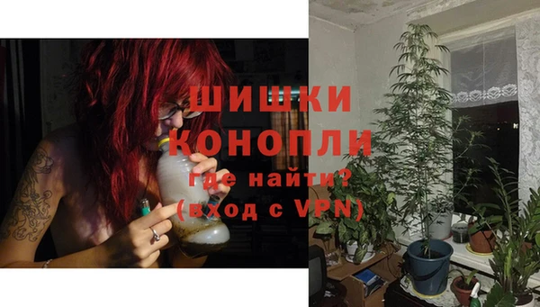прущие грибы Бугульма