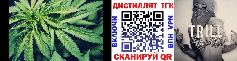 ТГК Wax  где найти   Каспийск 