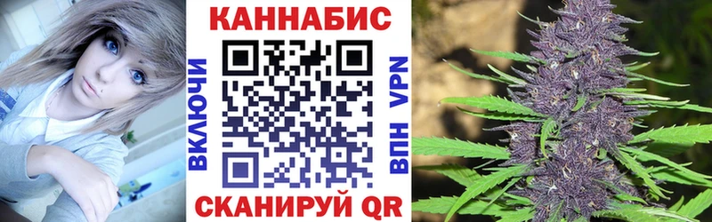 где купить Каспийск Бошки Шишки SATIVA & INDICA